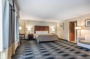 Jacuzzi Suite, 1 King Bed, Non Smoking (Upgrade)