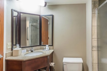 Standard Room, 1 King Bed, Jacuzzi, Non Smoking