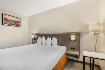 Standard Room, 1 King Bed, Accessible, Bathtub