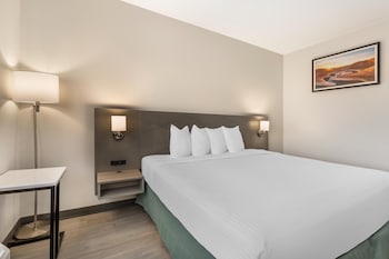 Standard Room, 1 King Bed, Accessible, Non Smoking