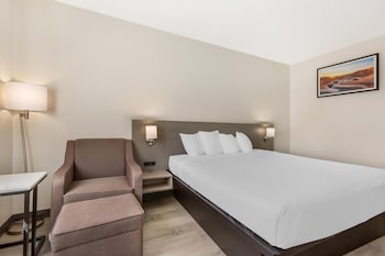 Standard Room, 1 King Bed, Non Smoking