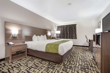 Standard Room, 1 King Bed, Non Smoking
