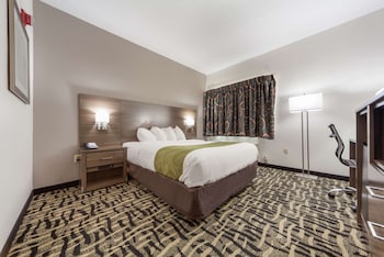 Standard Room, 1 King Bed, Non Smoking