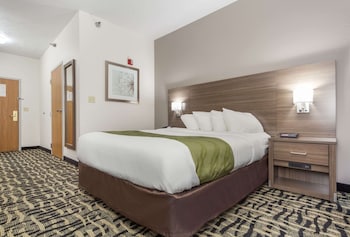 Standard Room, 1 King Bed, Non Smoking