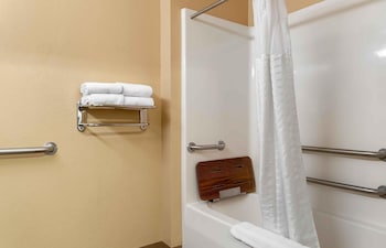 Studio, 1 Queen Bed, Accessible, Non Smoking