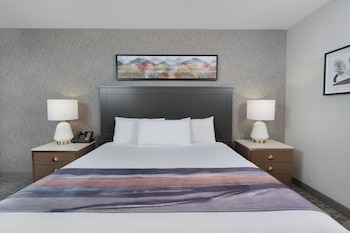 Deluxe Room, 1 King Bed, Non Smoking