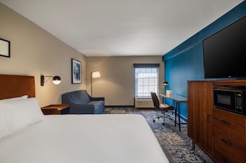 Traditional Room, 1 King Bed with Sofa bed (Mobility Accessible, Roll-In Shower)