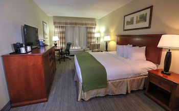 Room, 1 King Bed, Non Smoking