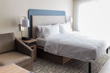 Studio, 1 King Bed, Accessible (Mobility, Hearing, Roll-In Shower)