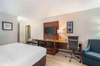 Room, 1 King Bed, Accessible, Non Smoking
