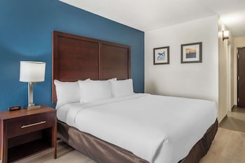 Standard Room, 1 King Bed, Non Smoking