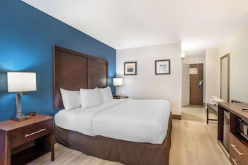 Standard Room, 1 King Bed, Non Smoking