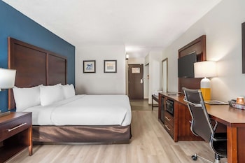 Standard Room, 1 King Bed, Non Smoking