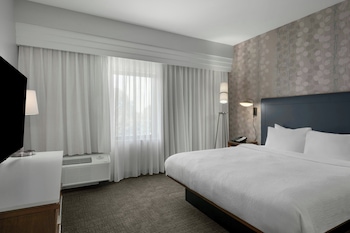 Room, 1 King Bed with Sofa bed