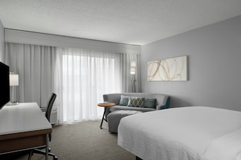 Room, 1 King Bed with Sofa bed (Mobility Accessible, Roll-In Shower)