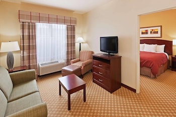 Suite, 1 King Bed with Sofa bed, Non Smoking