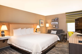 Room, 1 King Bed, Accessible, Bathtub