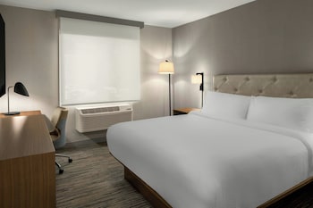 Room, 1 King Bed