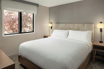 Suite, 1 King Bed