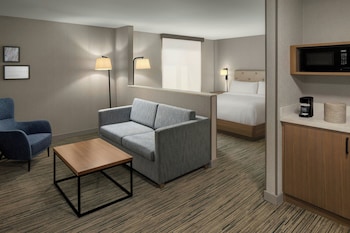 Suite, 1 King Bed with Sofa bed