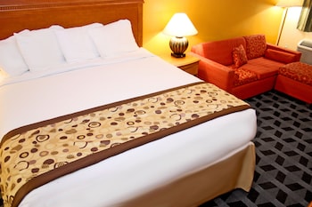 Room, 1 King Bed, Non Smoking
