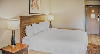 Studio, 1 King Bed, Non Smoking