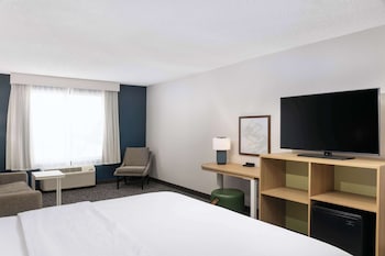 Room, 1 King Bed with Sofa bed