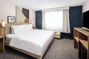 Studio, 1 King Bed