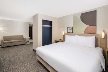 Room, 1 King Bed