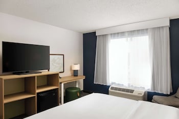 Room, 1 King Bed