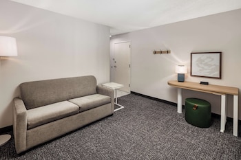 Studio, 1 King Bed