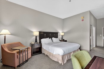 Suite, 1 King Bed with Sofa bed