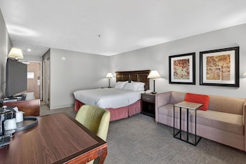 Suite, 1 King Bed with Sofa bed
