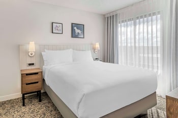 Suite, 1 Queen Bed with Sofa bed, Accessible (Hearing One Bedroom)