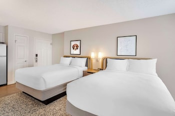 Deluxe Room, Multiple Beds (Studio)