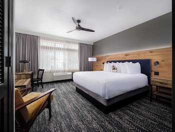 Room, 1 King Bed