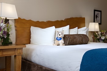 Studio, 1 Queen Bed, Kitchen, Courtyard Area (Stair Access Only)