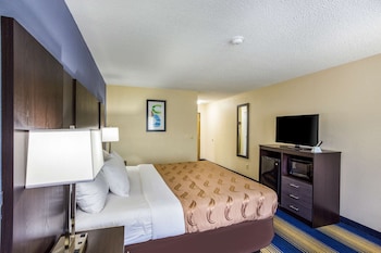 Room, 1 King Bed, Accessible, Non Smoking