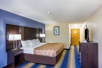 Room, 1 King Bed, Accessible, Non Smoking
