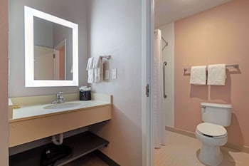 Standard Room, 1 King Bed, Accessible, Refrigerator & Microwave