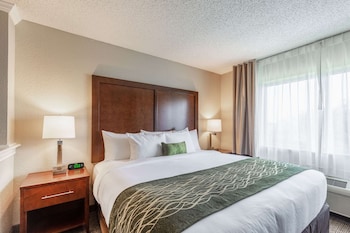 Suite, 1 King Bed with Sofa bed, Non Smoking