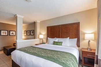 Suite, 1 King Bed with Sofa bed, Non Smoking