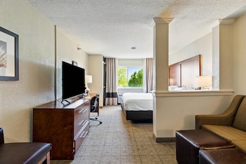 Room, 1 King Bed, Accessible, Non Smoking