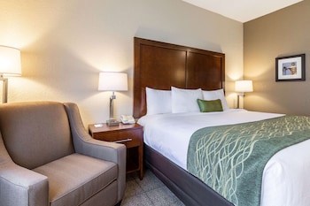 Room, 1 King Bed, Accessible, Non Smoking