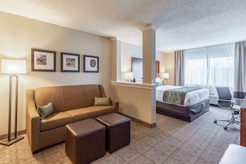 Suite, 1 King Bed with Sofa bed, Non Smoking