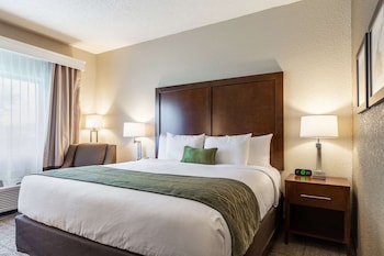 Room, 1 King Bed, Accessible, Non Smoking
