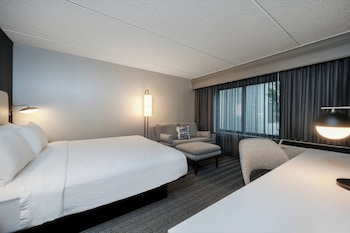 Room, 1 King Bed with Sofa bed