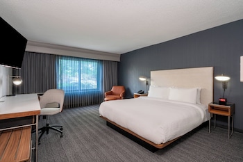Room, 1 King Bed with Sofa bed (Mobility/Hearing Accessible, Tub)