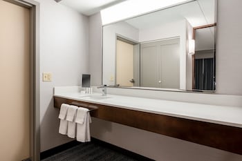 Room, 1 King Bed with Sofa bed (Mobility/Hearing Accessible, Tub)