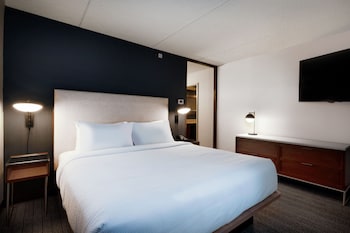 Room, 1 King Bed with Sofa bed (Mobility/Hearing Accessible, Tub)